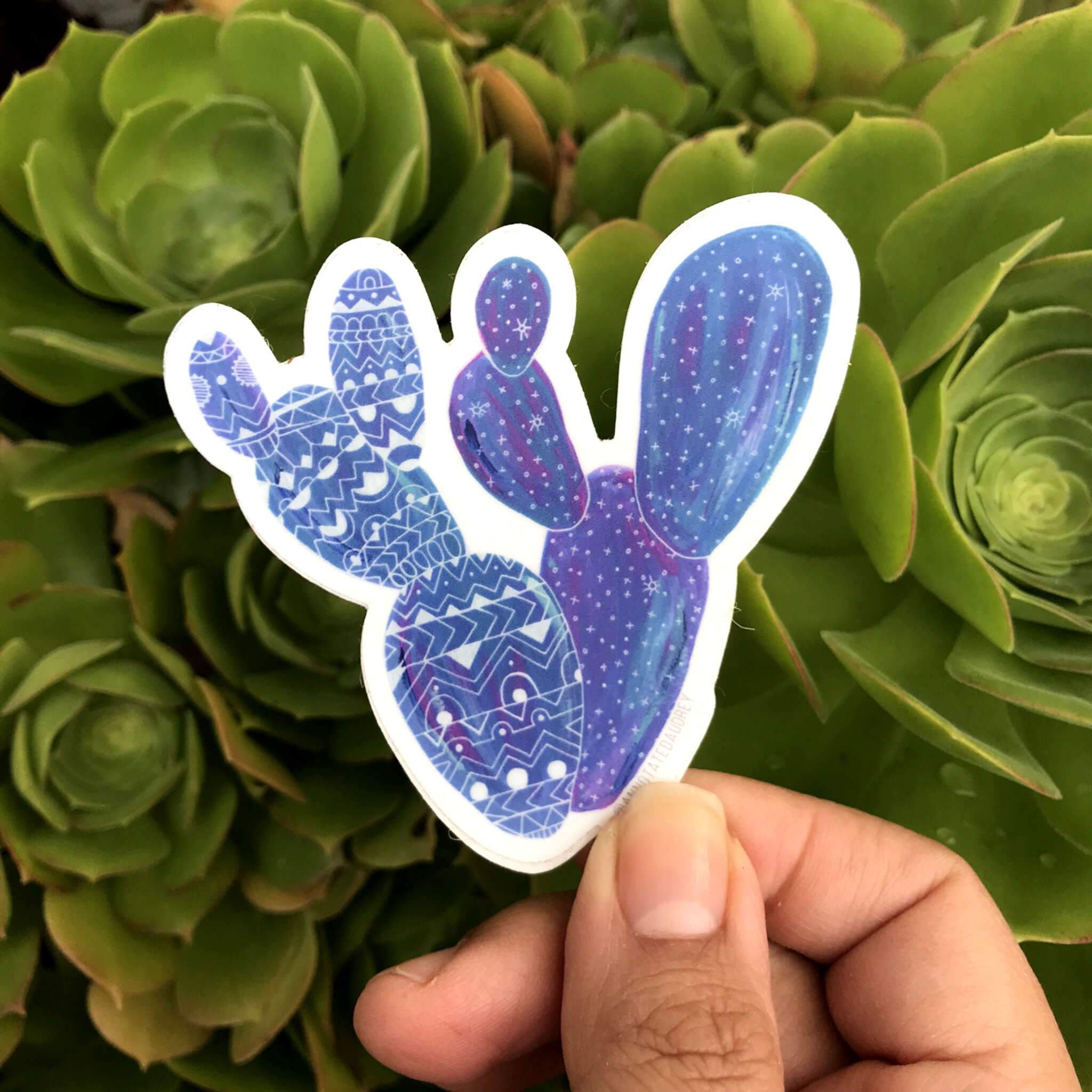 Blue Prickly Pear Patterned Vinyl Waterproof Cactus Sticker – ANNOTATED ...
