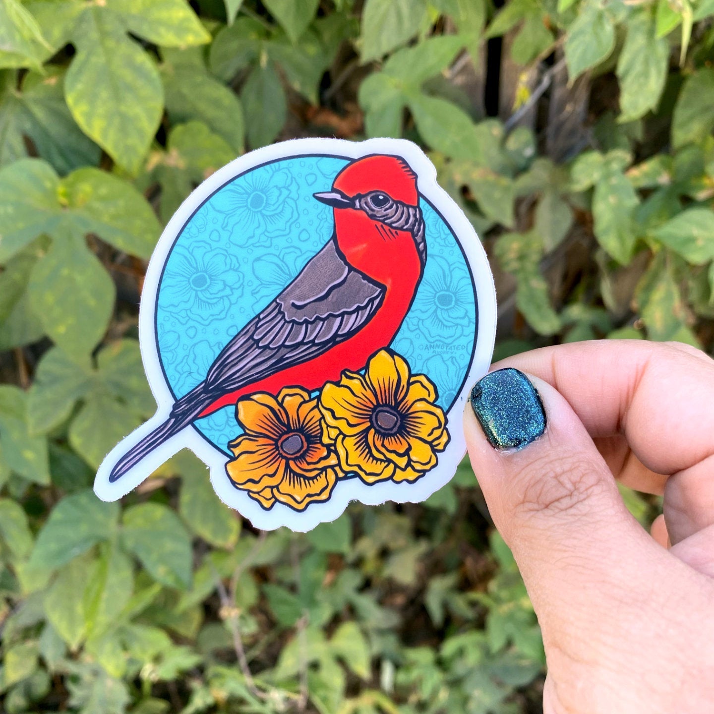 Sticker - Vermillion Flycatcher